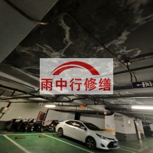 厦门鄂尔多斯万基西山丽景地下室堵漏